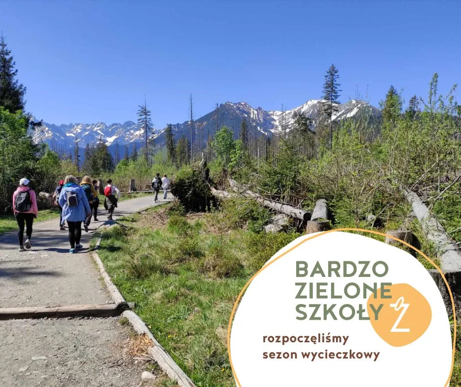 zdjęcie z wycieczki w górach w ramach Bardzo Zielonej Szkoły