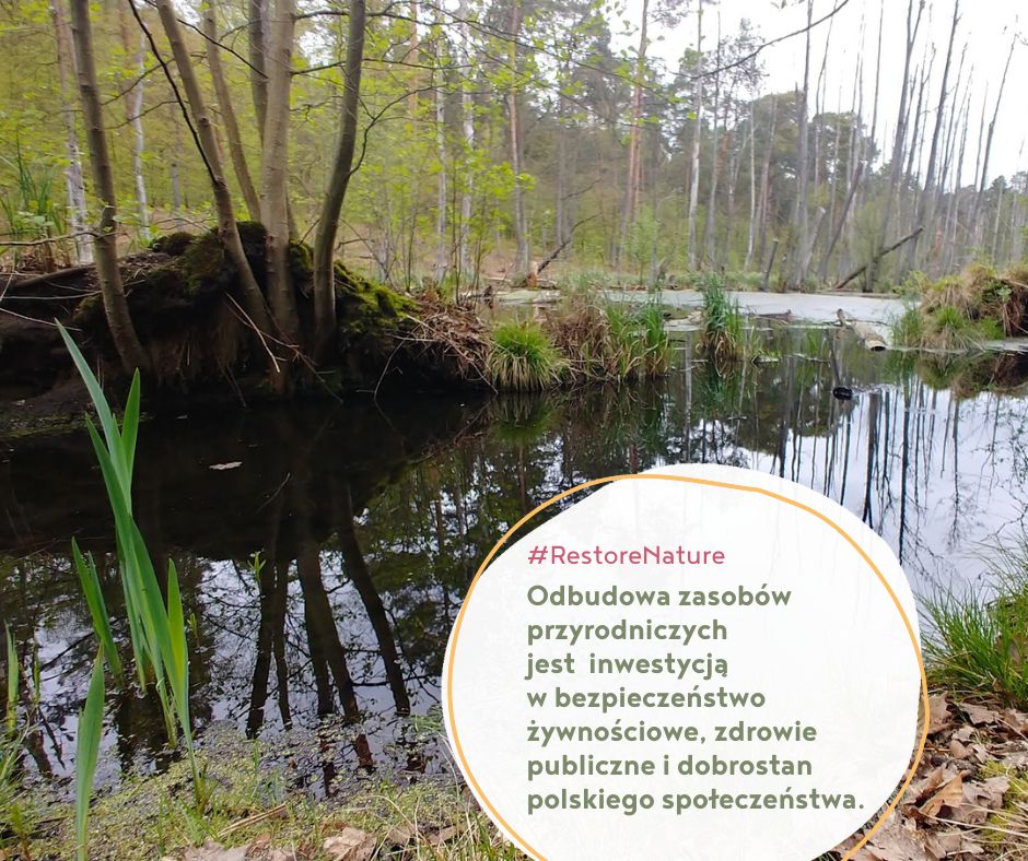 Polski rząd chce zablokować Restore Nature
