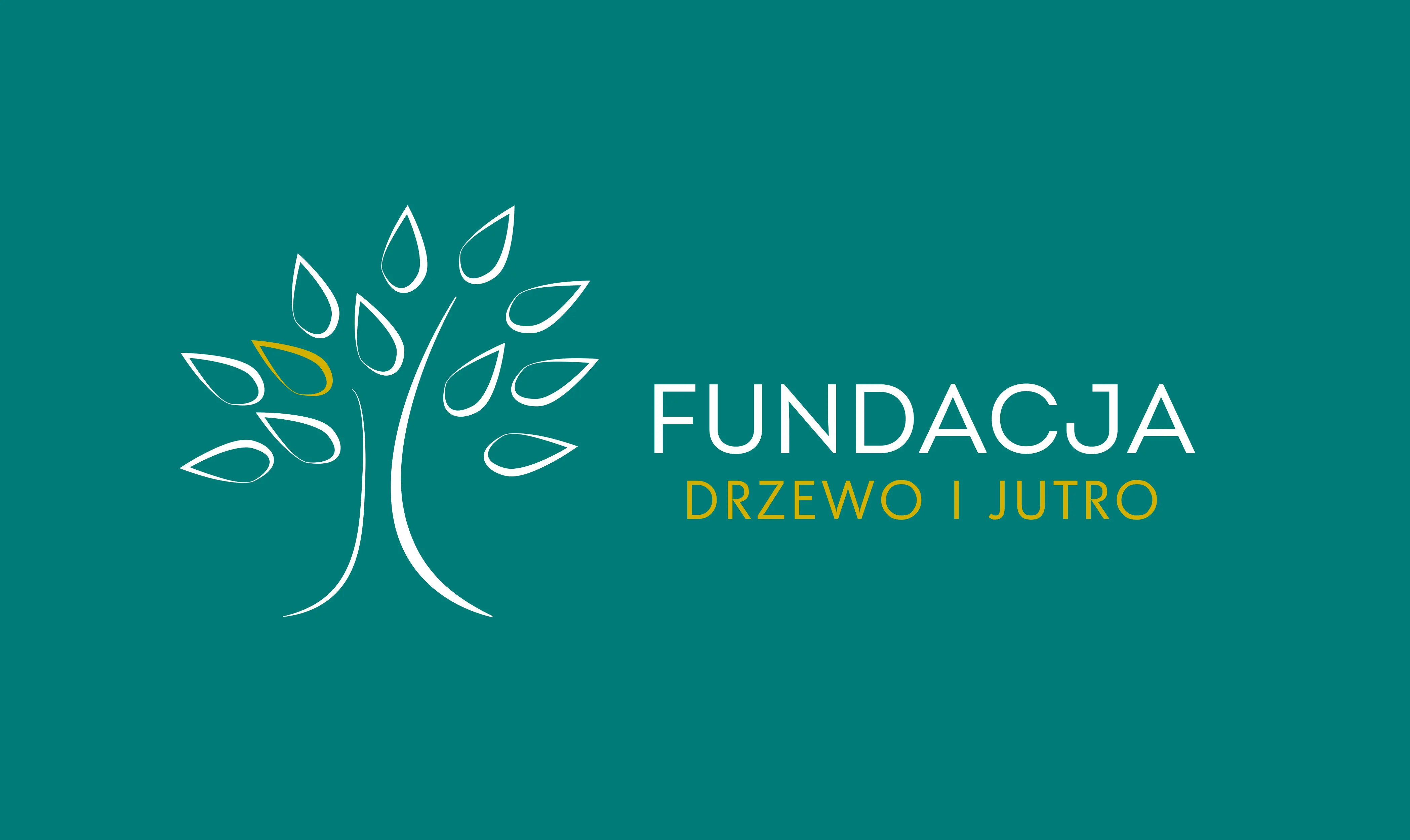 logo fundacji Drzewo i jutro