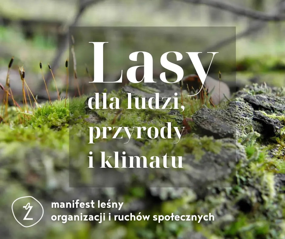 napis Lasy dla ludzi, przyrody i klimatu na tle zbliżenia kory drzewa