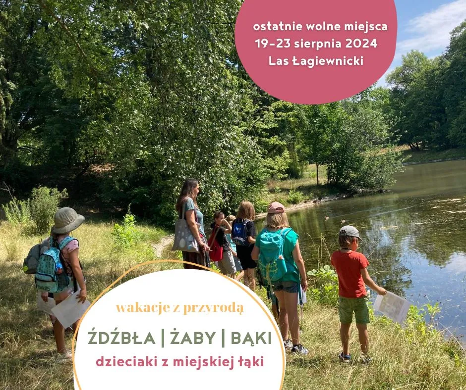 półkolonie Źdźbła Żaby Bąki