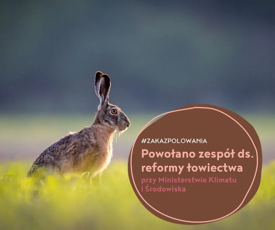 powołano zespół ds. refromy łowiectwa