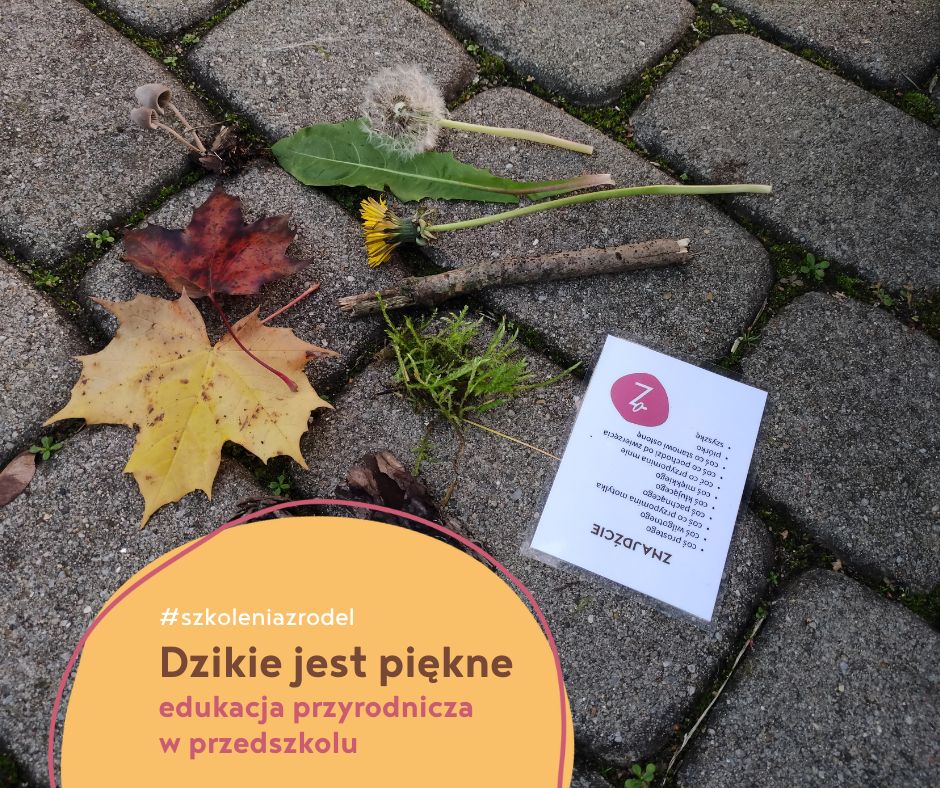Sprawdzian Z Edukacji Przyrodniczej Klasa 2 Szkolenia z edukacji przyrodniczej w przedszkolach