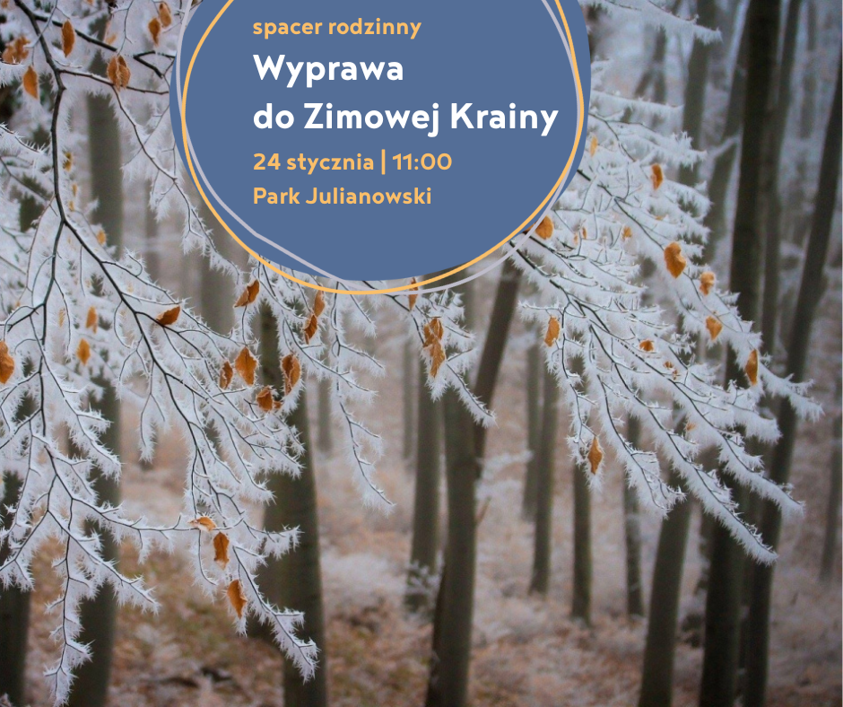 Zdjęcie oszronionej gałęzi na tle lasu i napis Wyprawa do Zimowej Krainy, 24 stycznia godz. 11, Park Julianowski