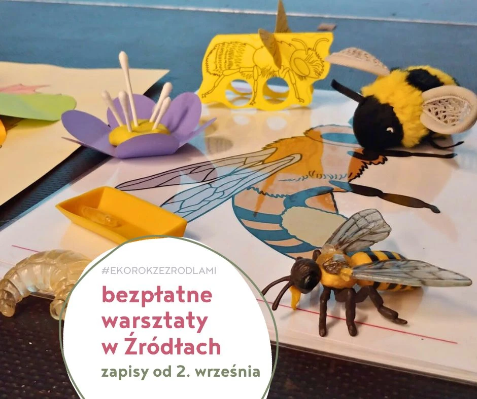 zapisy na bezpłatne warsztaty