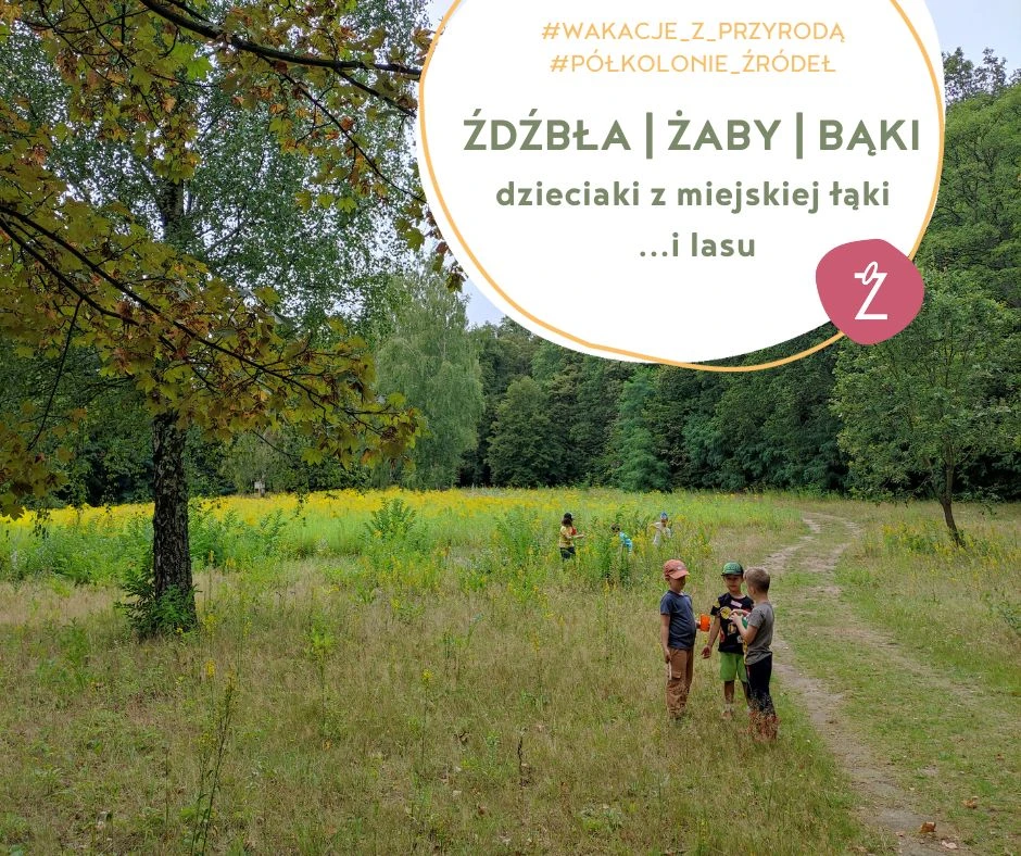 Dzieci na polanie - ŹDŹBŁA | ŻABY | BĄKI  dzieciaki z miejskiej łąki  ...i lasu - półkolonie Źródeł