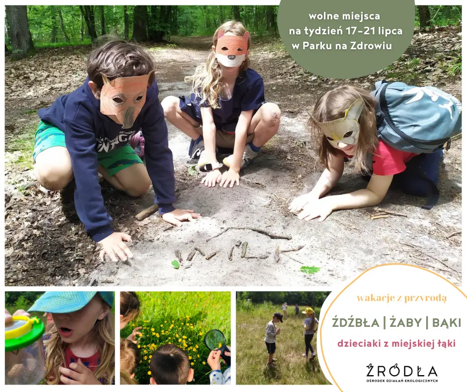 wolne miejsca na tydzień 17-21 lipca
