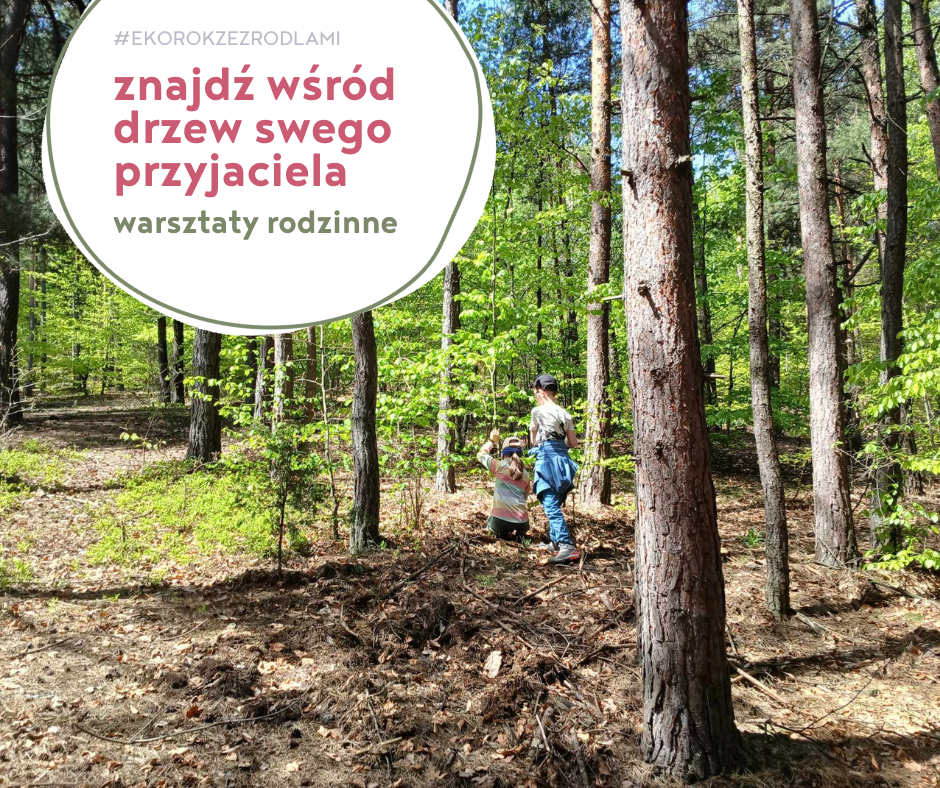 Zdjecie lasu z podpisem Znajdź wśród drzew swego przyjaciela - warsztaty rodzinne