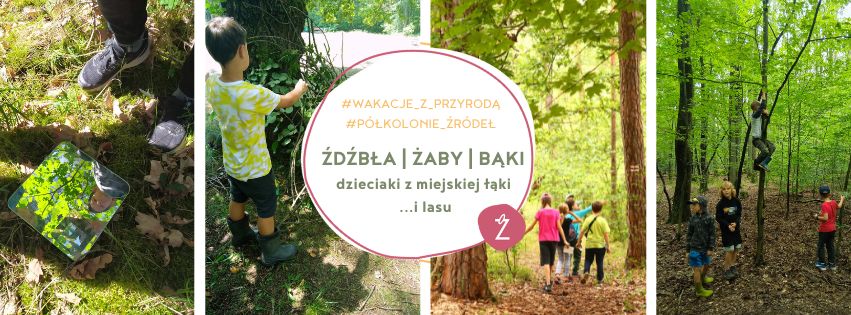 ŹDŹBŁA/ŻABY/BĄKI! wakacje z przygodą - cztery fotografie przedstawiające dzieci bawiące się w przyrodzie na tle lasu