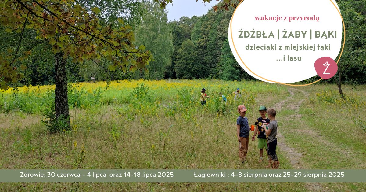 terminy p&oacute;lkolonii letnich dla dzieci w 2025 roku